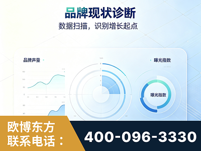 和田-品牌现状诊断
